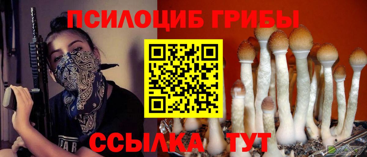 Озёры  Экстази  Магазин наркотиков  Мефедрон кристаллы  ГАШ  Вход с VPN  Канабис 